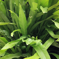 May Flowers Horticulture Installation 31